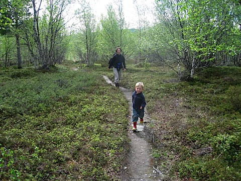 Abisko Juni 2009 dag 3 - 21.jpg